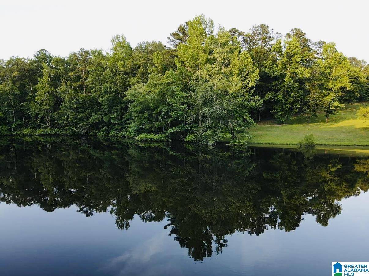 HOLLYS LANE #0, Riverside, AL 35135