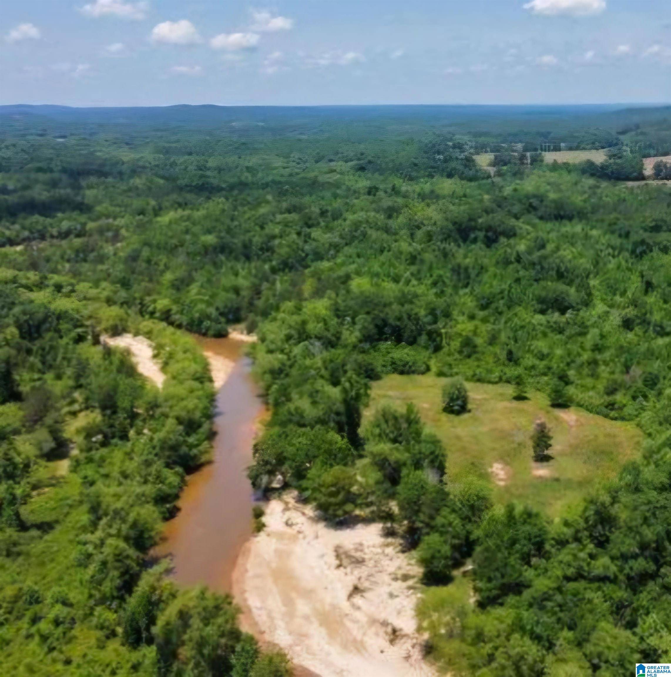 1565 COUNTY ROAD 103 #1, Plantersville, AL 36758
