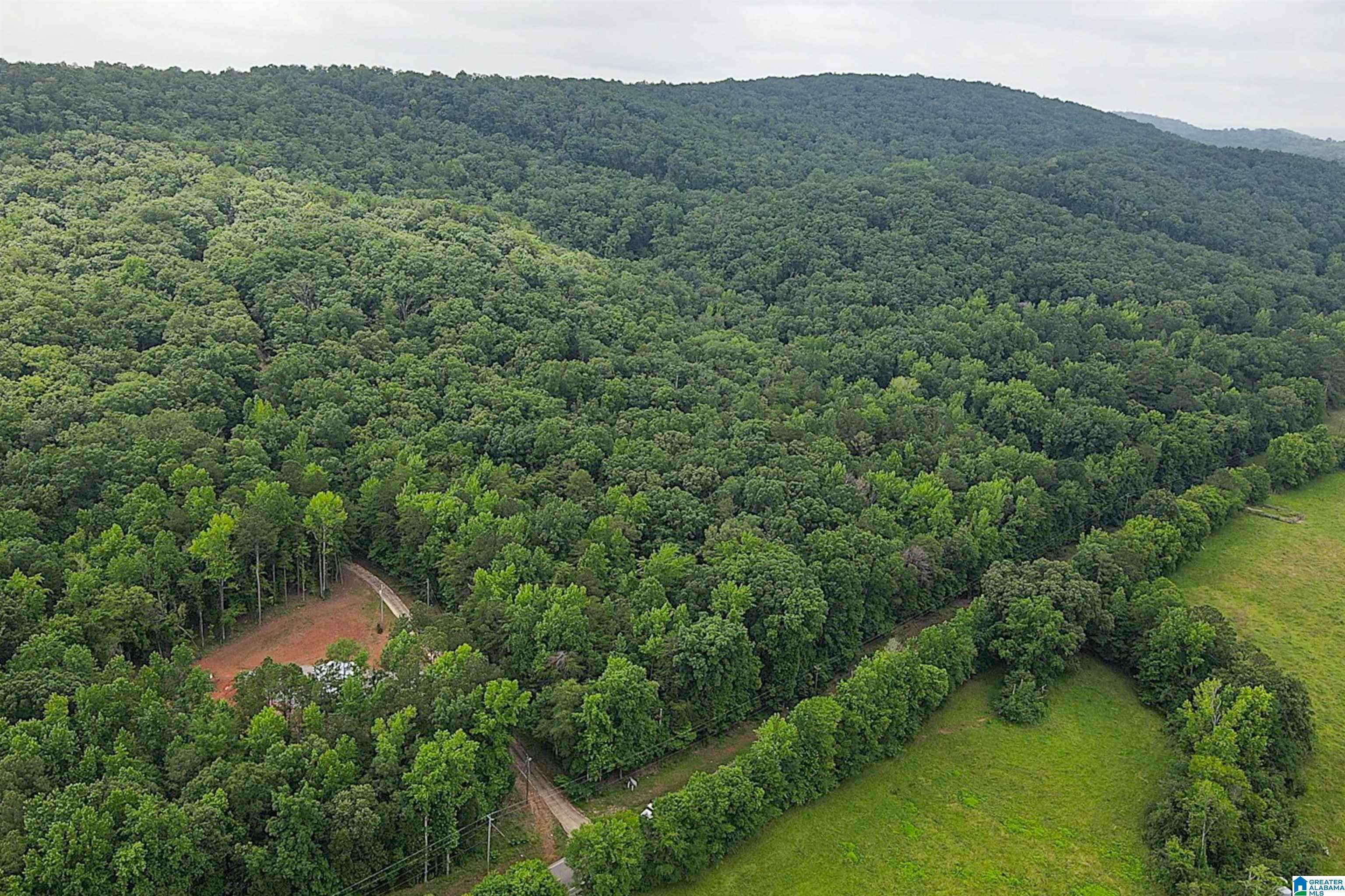 Lot 1 HIGHWAY 25 #Lot 1, Columbiana, AL 35051