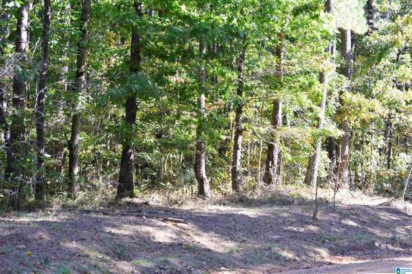 lot 24 GLADYS DRIVE #24, Lakeview, AL 35111
