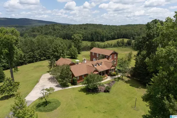 Pell City, AL 35128,320 WOLF PEN RIDGE ROAD