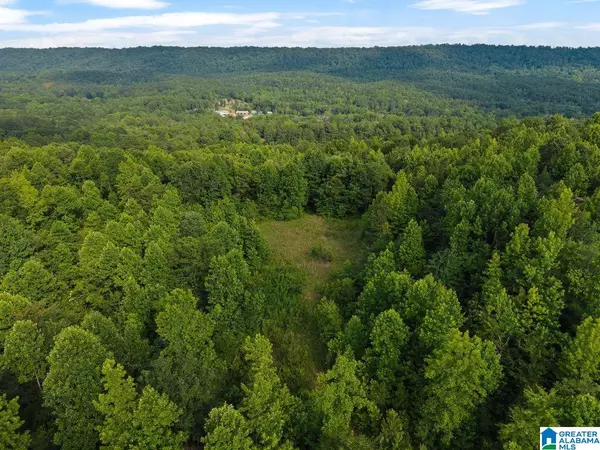 Lot #2 HIGHWAY 75 #1, Oneonta, AL 35121