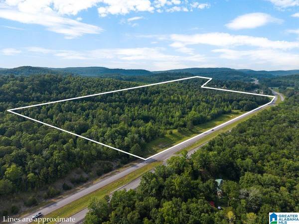 Oneonta, AL 35121,Lot #4 HIGHWAY 75 #1