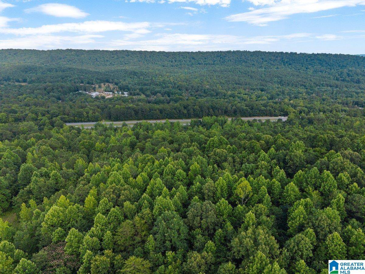 Oneonta, AL 35121,Lot #6 HIGHWAY 75 #1