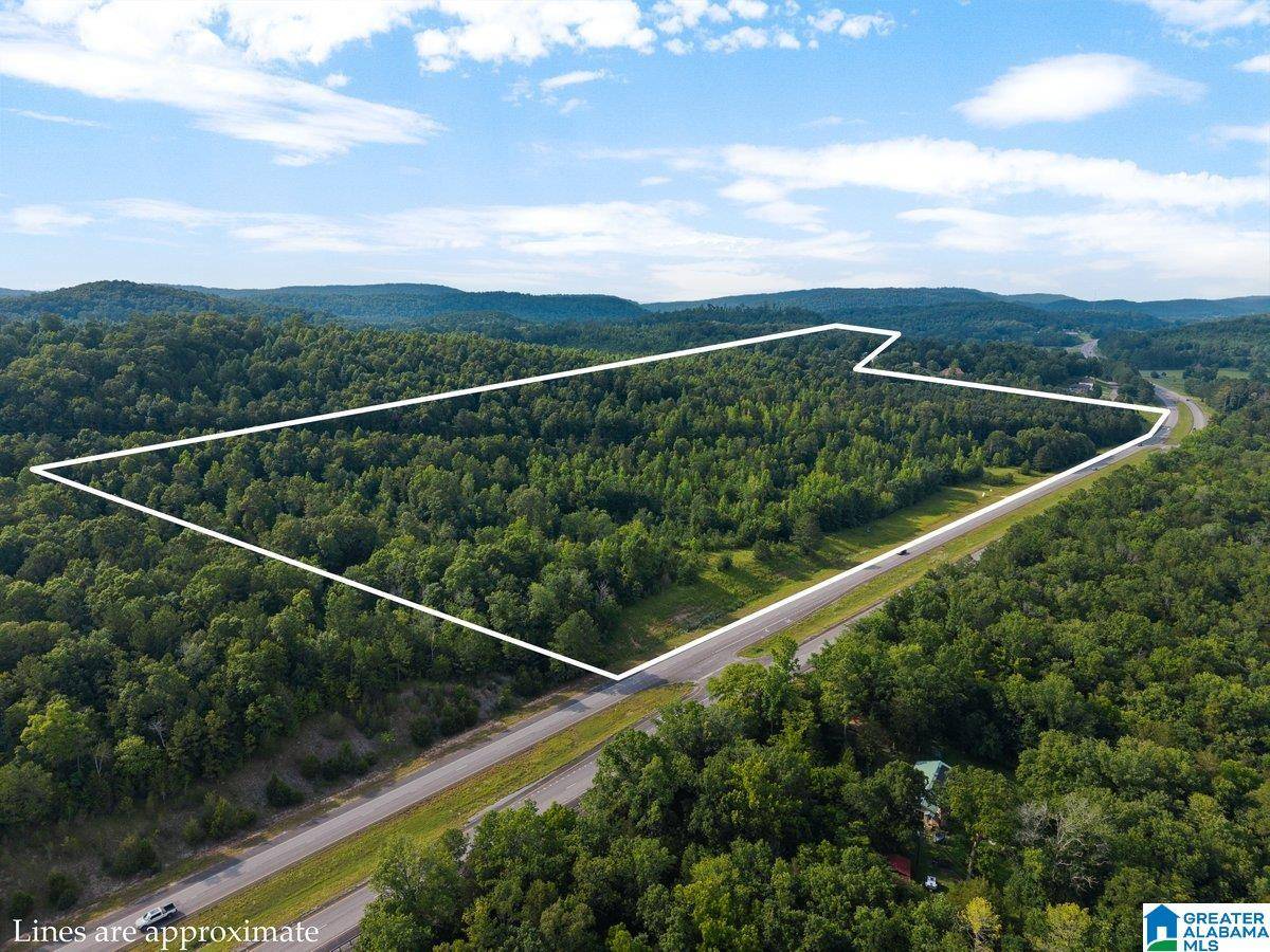 Oneonta, AL 35121,Lot #6 HIGHWAY 75 #1
