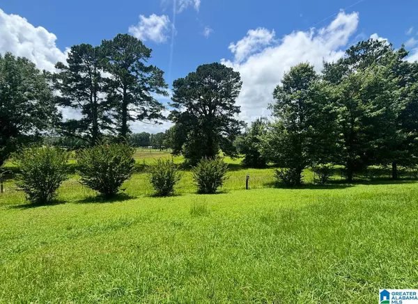 Wilsonville, AL 35186,76 STOREY BOOK TRAIL