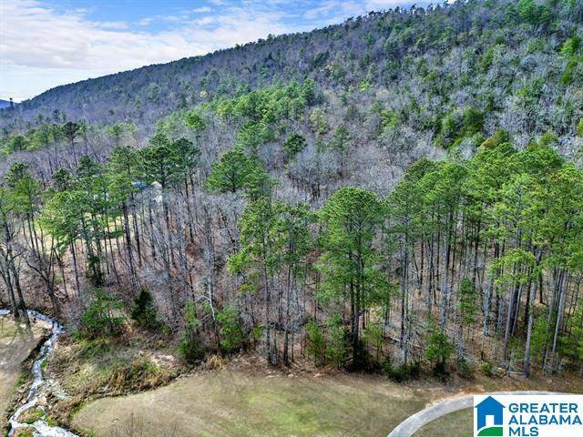 Oneonta, AL 35121,0 BELLERIVE CIRCLE #1