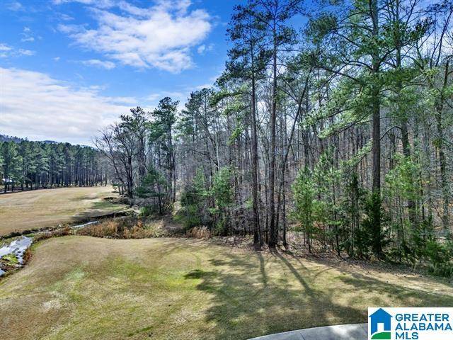 Oneonta, AL 35121,0 BELLERIVE CIRCLE #1