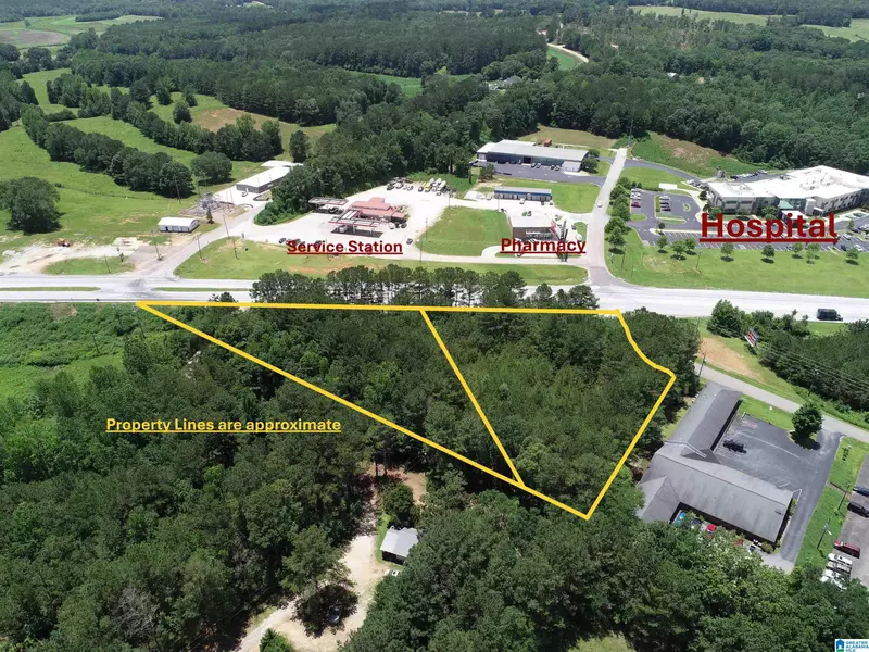 HIGHWAY 431 S #2.73, Wedowee, AL 36278