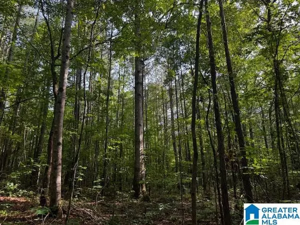 Roanoke, AL 36274,63445 HIGHWAY 22 #70 Ac