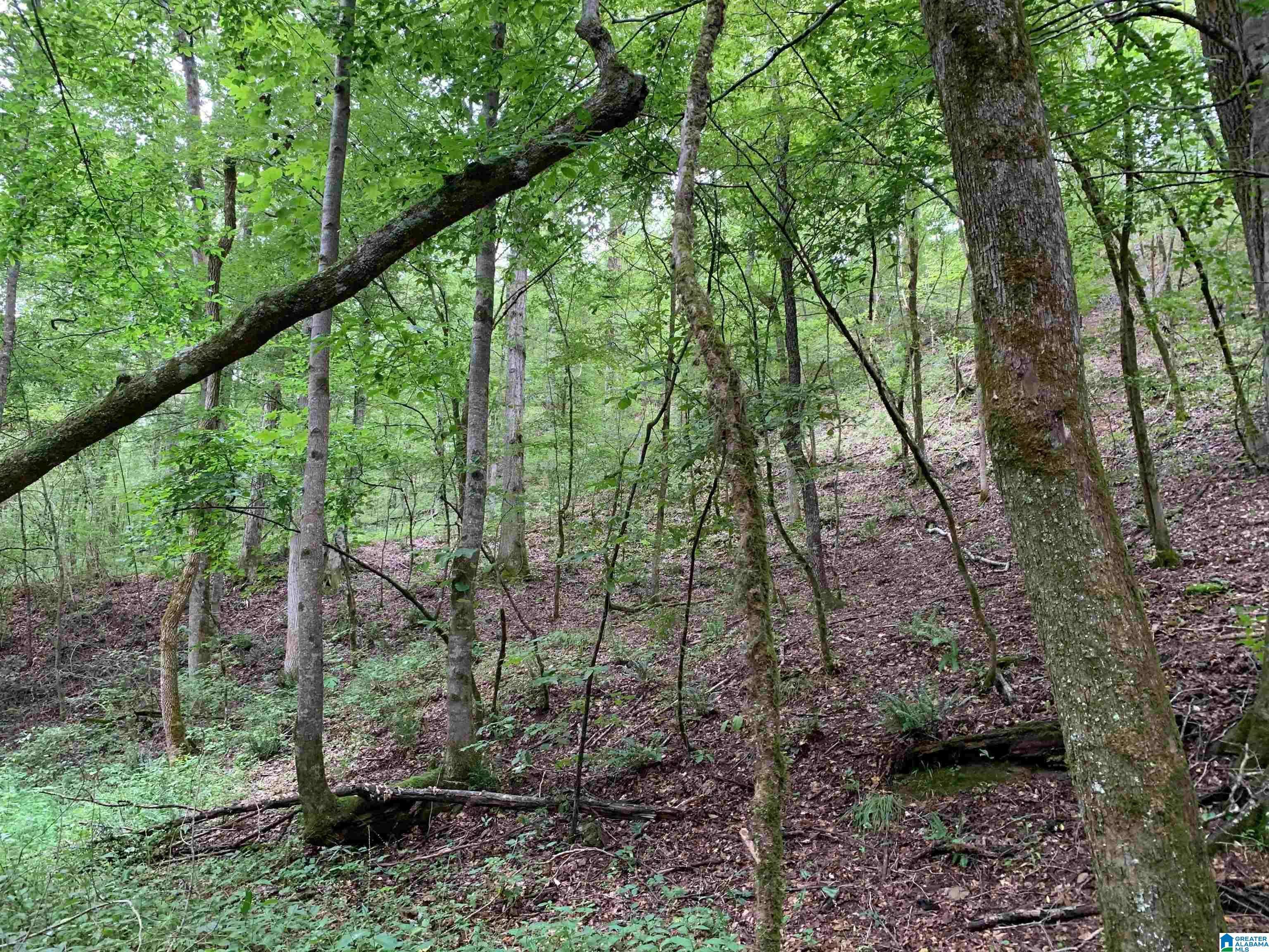 Helena, AL 35080,1321 RED OAK ROAD #N/A