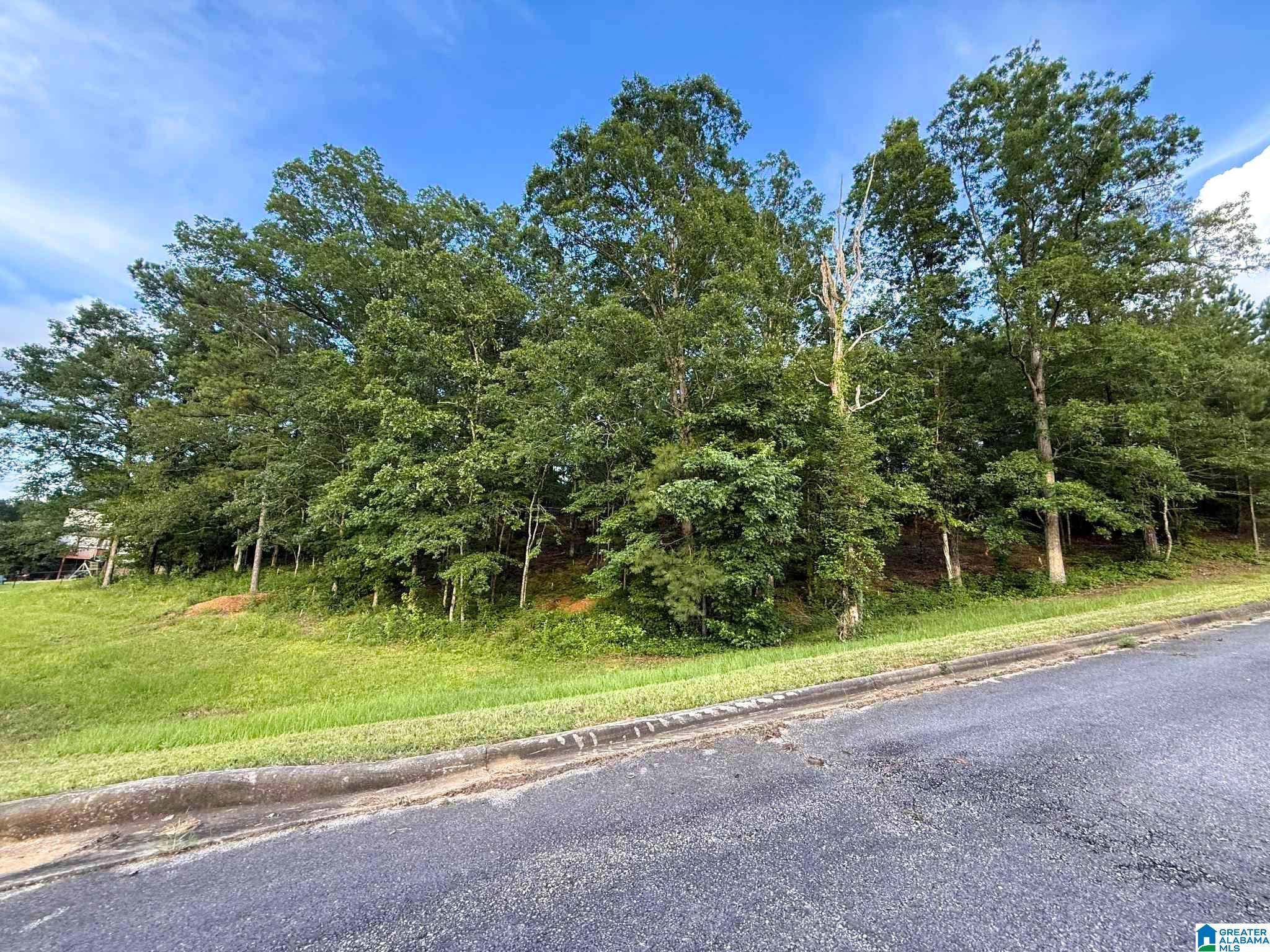 7577 COLONIAL TRACE CIRCLE #23, Bessemer, AL 35022