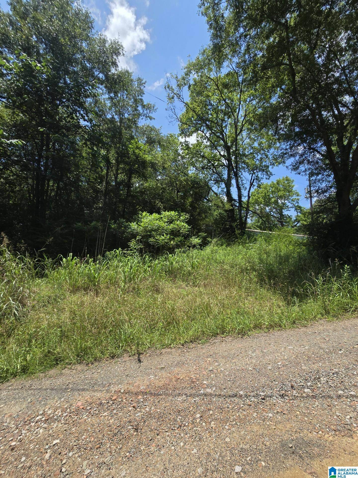 Cordova, AL 35550,39 THOMAS ROAD #NA