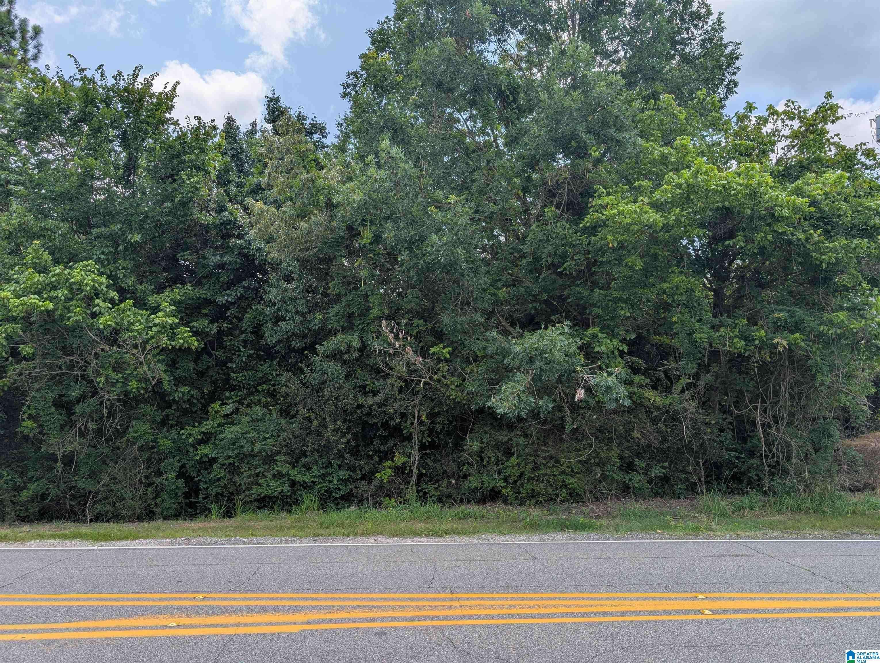 6200 DEERFOOT PARKWAY #0, Trussville, AL 35173