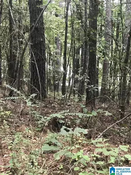 LAKESIDE LANE #21, Alpine, AL 35014