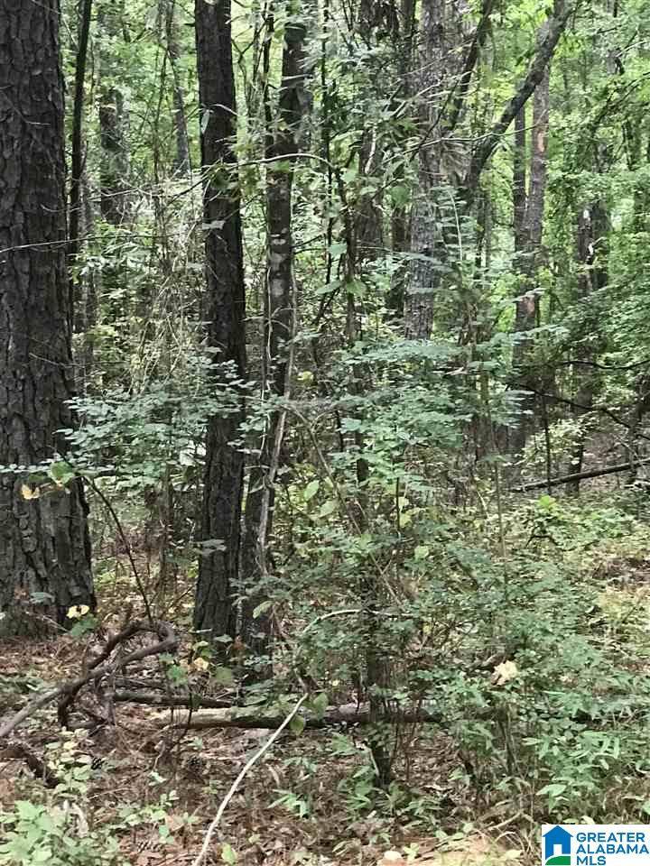 S LAKESIDE LANE #20, Alpine, AL 35014