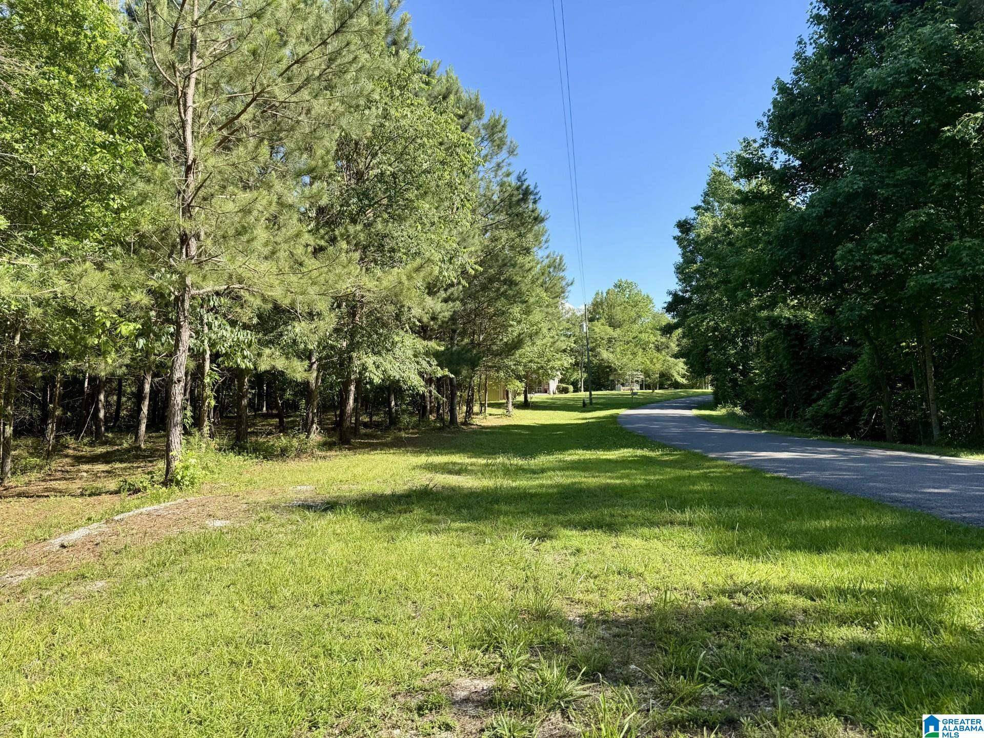 Wedowee, AL 36278,WRIGHT WAY DRIVE #90 & 91B