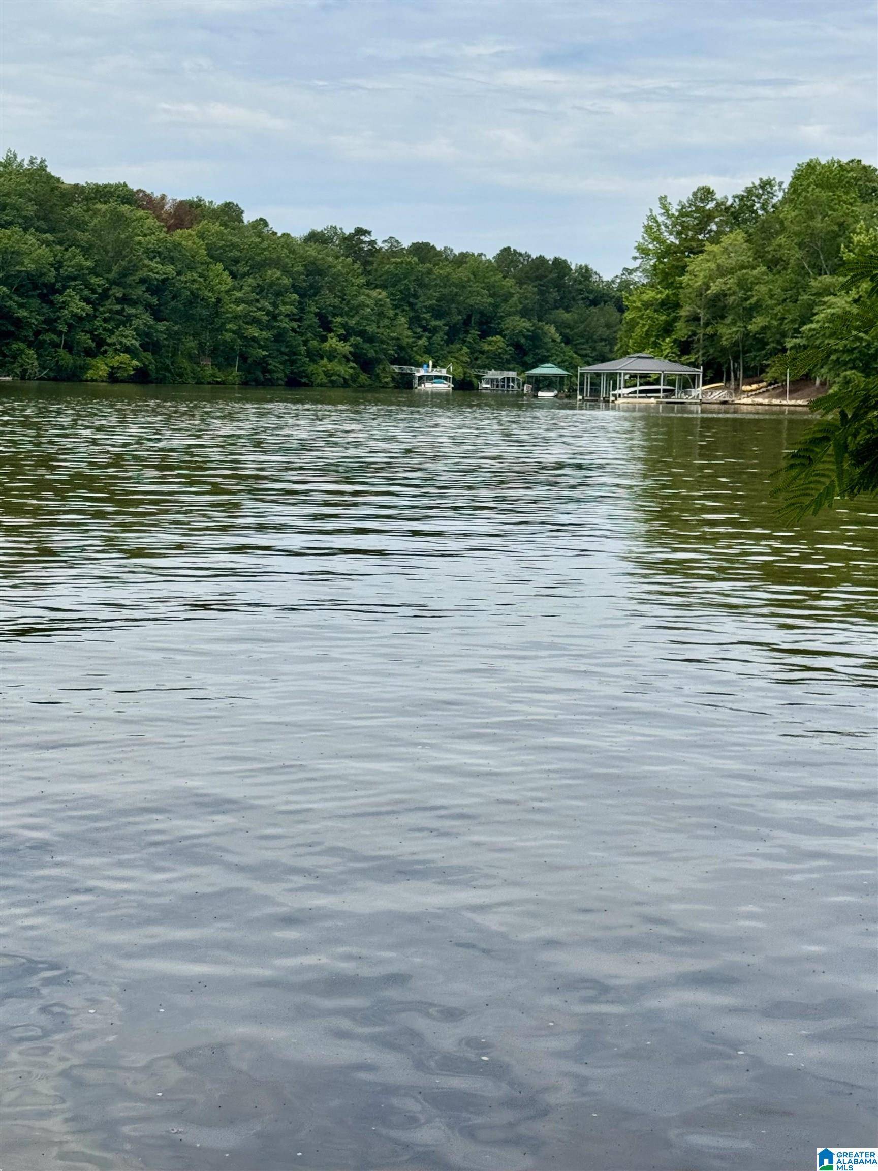 Wedowee, AL 36278,Lot 6 OLD HIGHWAY 431 #1