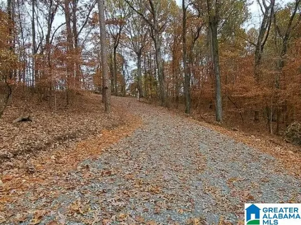 Pinson, AL 35215,6246 RED HOLLOW ROAD #0