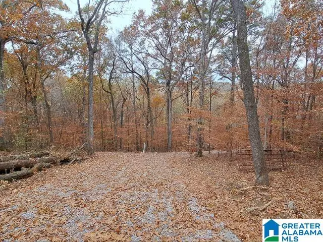 6246 RED HOLLOW ROAD #0, Pinson, AL 35215