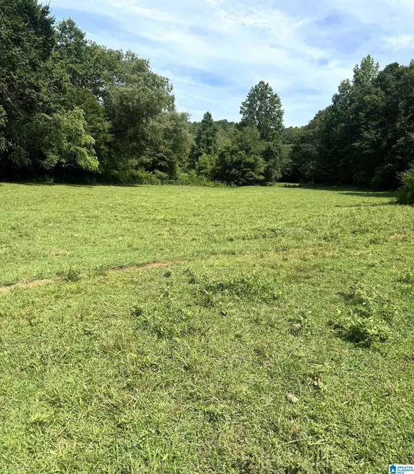 152 COUNTY ROAD 228 #0, Muscadine, AL 36269