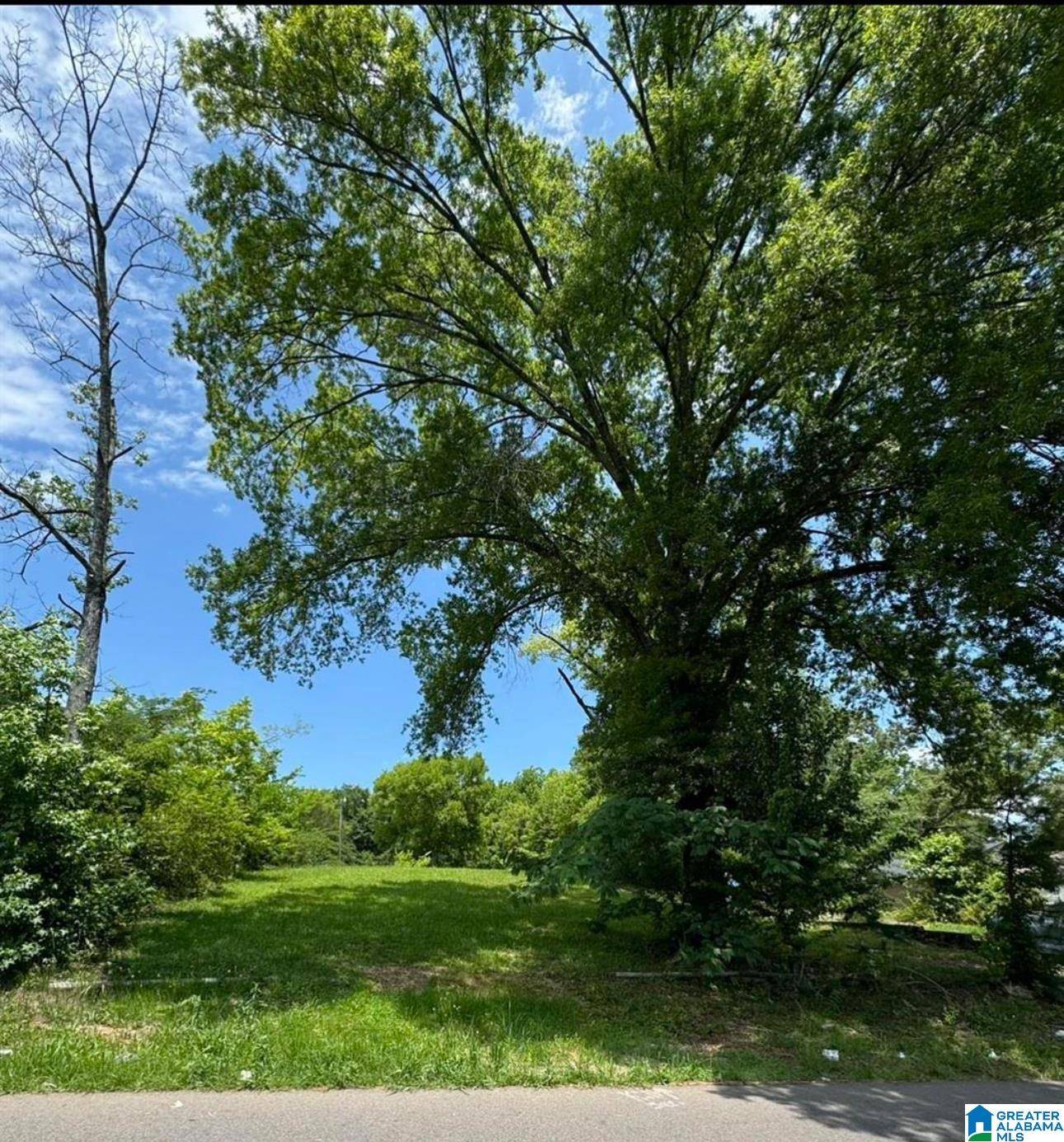 116 21ST AVENUE NE #37, Center Point, AL 35215