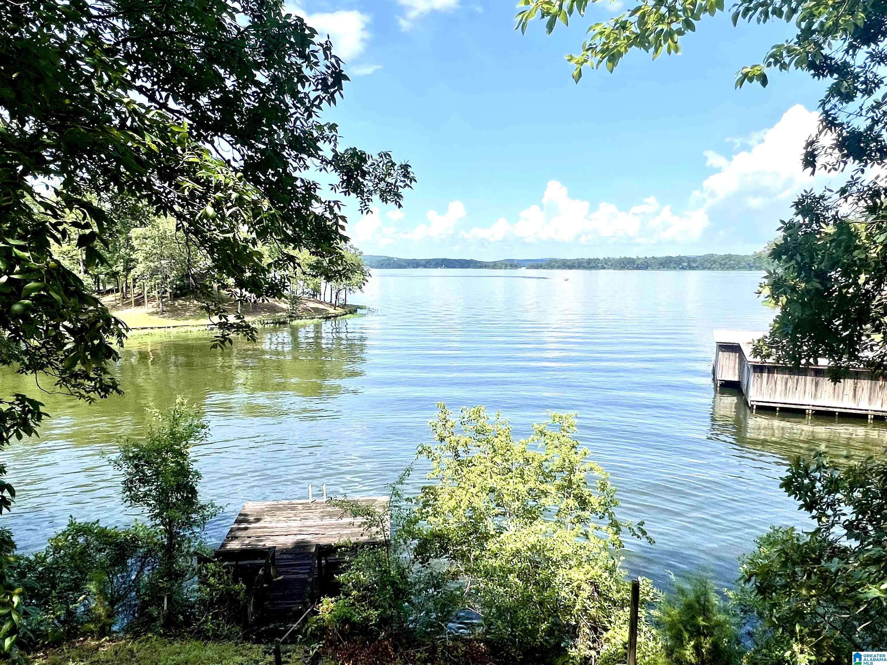 lot 13 COUNTY ROAD 833, Clanton, AL 35046