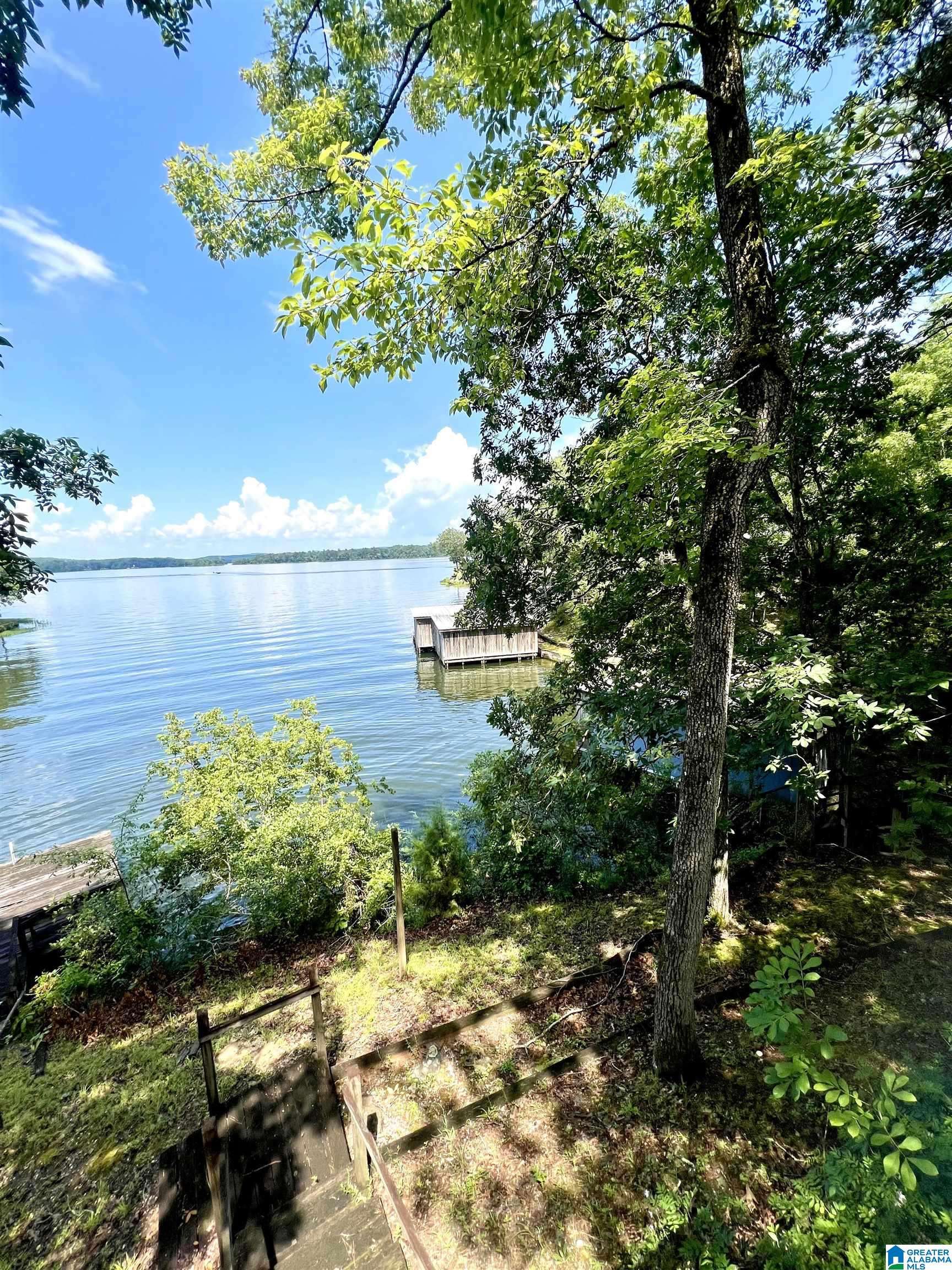 Clanton, AL 35046,lot 13 COUNTY ROAD 833