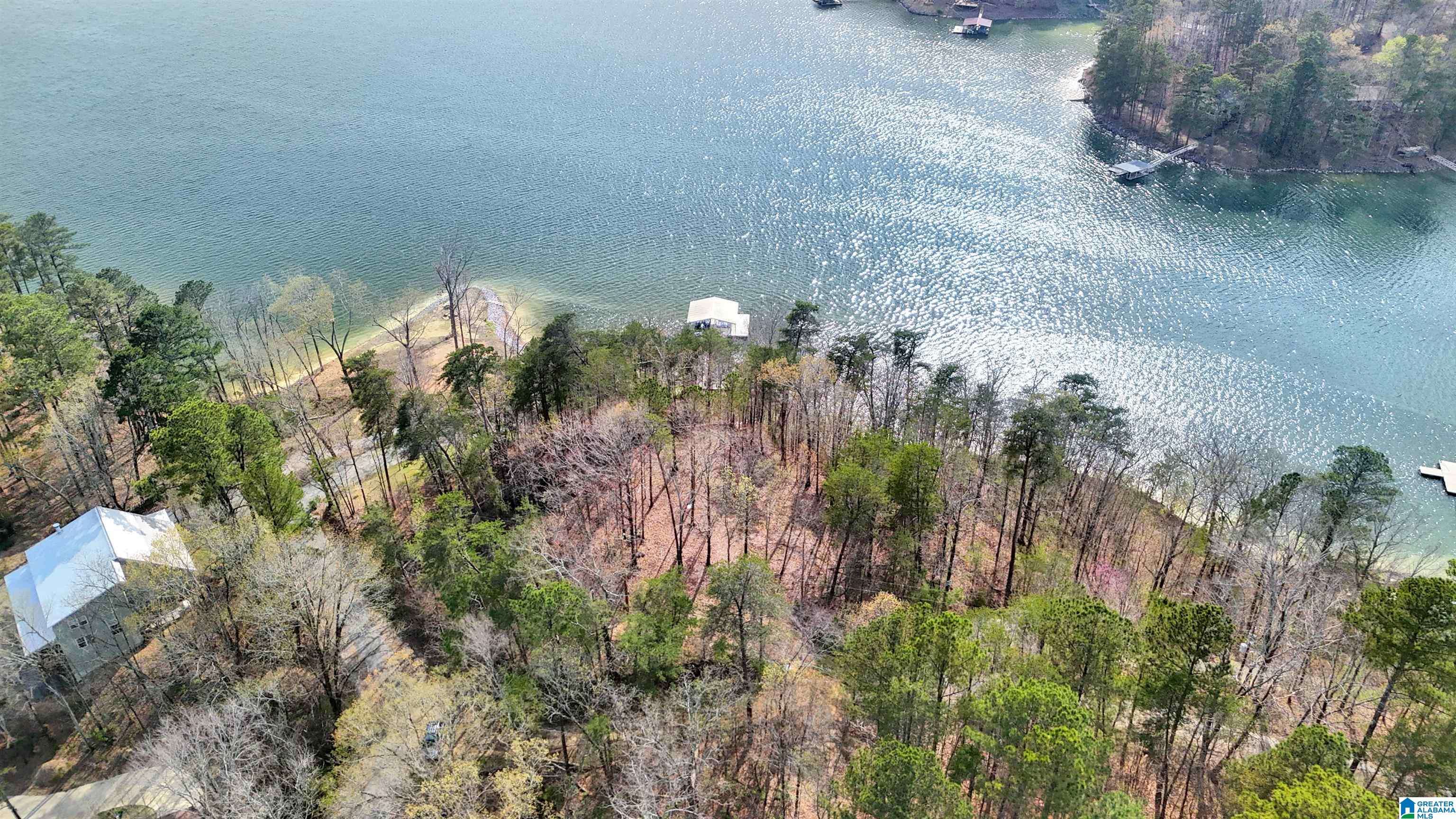 Crane Hill, AL 35053,0 COUNTY ROAD 864 #0