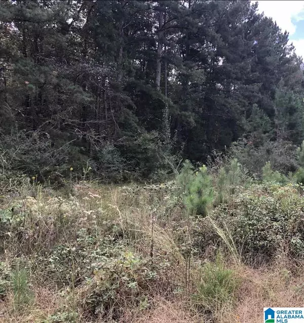 THOMASTON ROAD #12, Lincoln, AL 35096