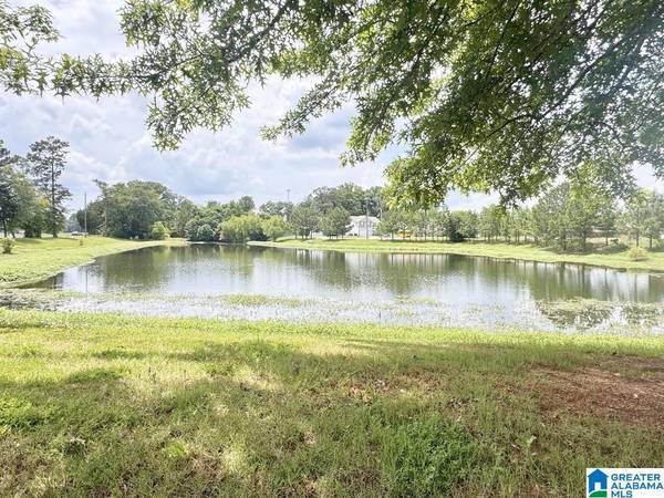 512 WATERSTONE DRIVE, Montevallo, AL 35115