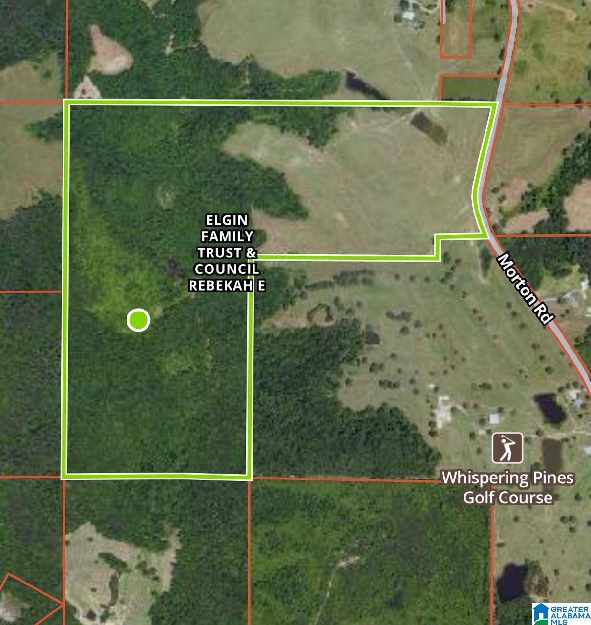 Oneonta, AL 35121,0 MORTON ROAD #1