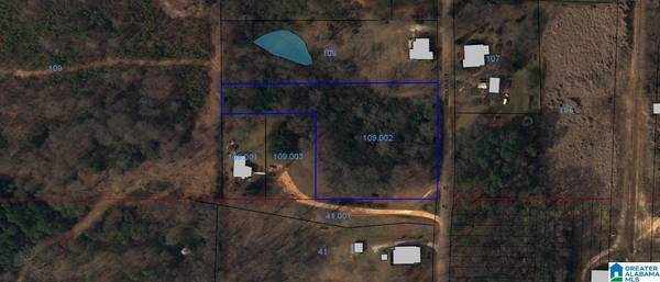 KNOWLES AVENUE #0, Lineville, AL 36266