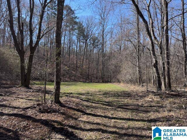 Fruithurst, AL 36262,COUNTY ROAD 66 #413 Ac