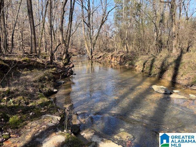 COUNTY ROAD 66 #413 Ac, Fruithurst, AL 36262
