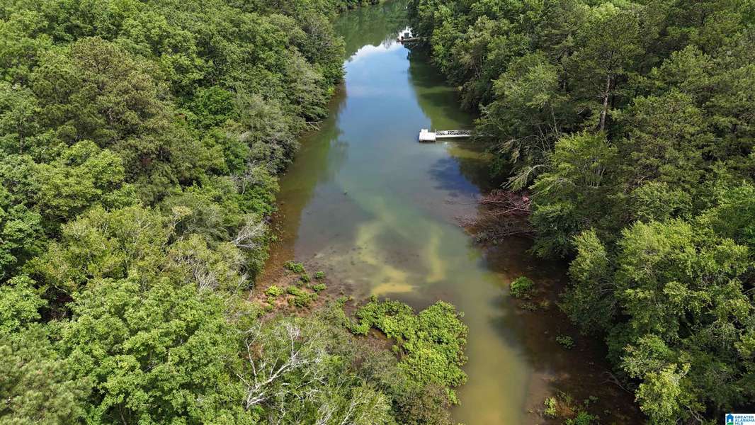 Lot 64 SHORESIDE DRIVE #64, Double Springs, AL 35553