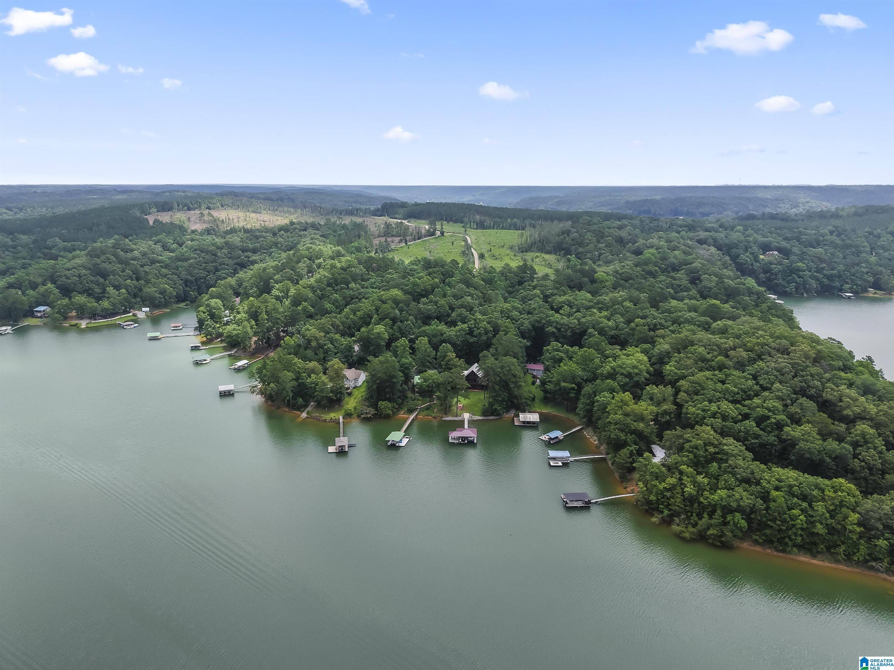 Logan, AL 35098,137 LAKEVIEW DRIVE