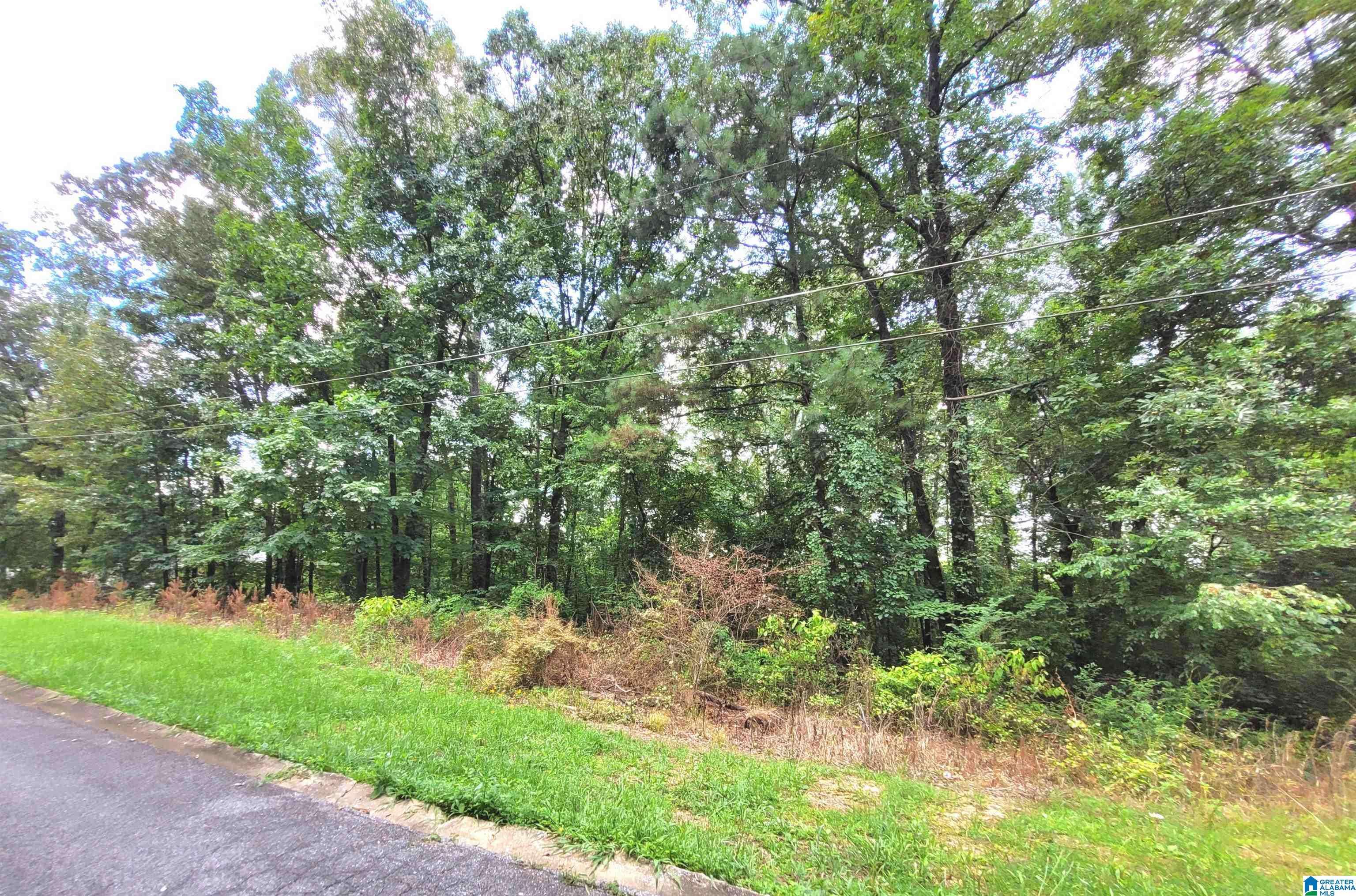 Talladega, AL 35160,000 BRYAN STREET #13