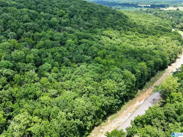 Moulton, AL 35650,0 COUNTY ROAD 59 #2