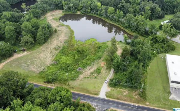 Vandiver, AL 35176,12072 HIGHWAY 43 #0