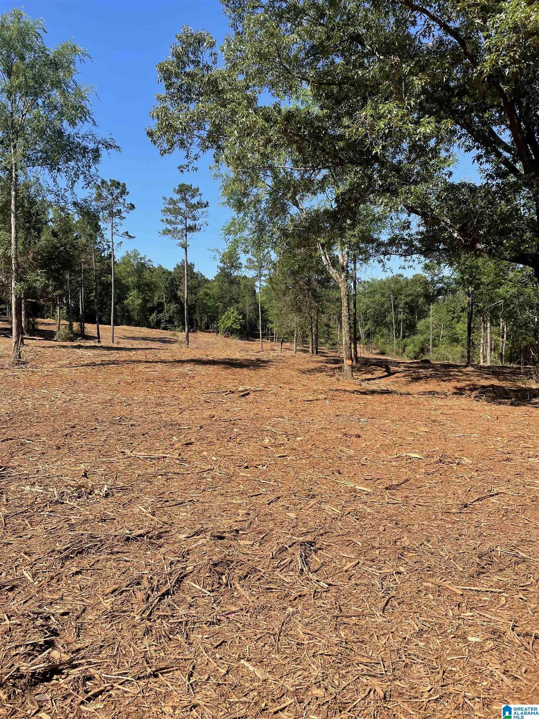 0 IRONATON ROAD #2, Talladega, AL 35160