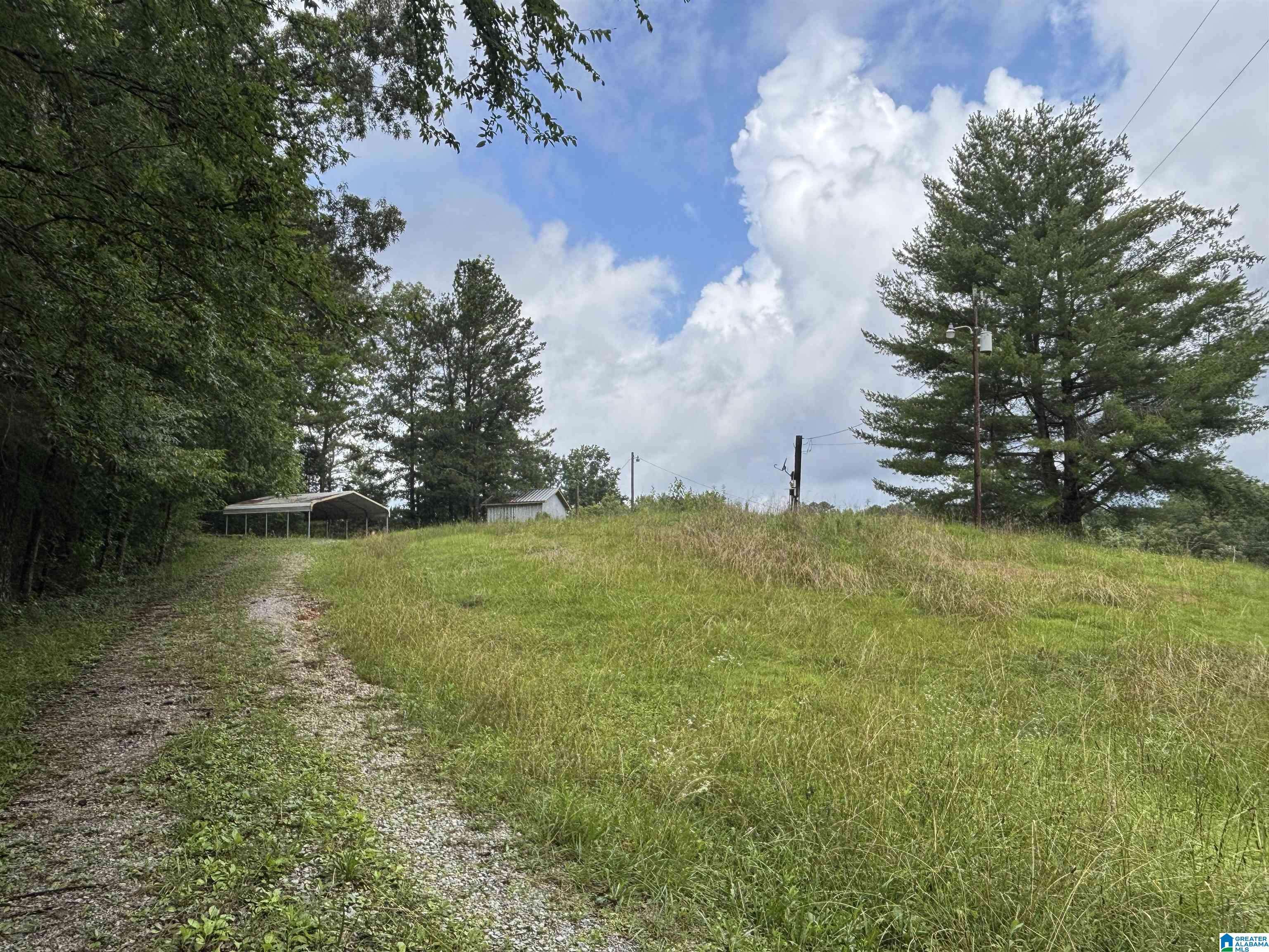 Pell City, AL 35125,1309 CHEROKEE ROAD #.80+/- Acres
