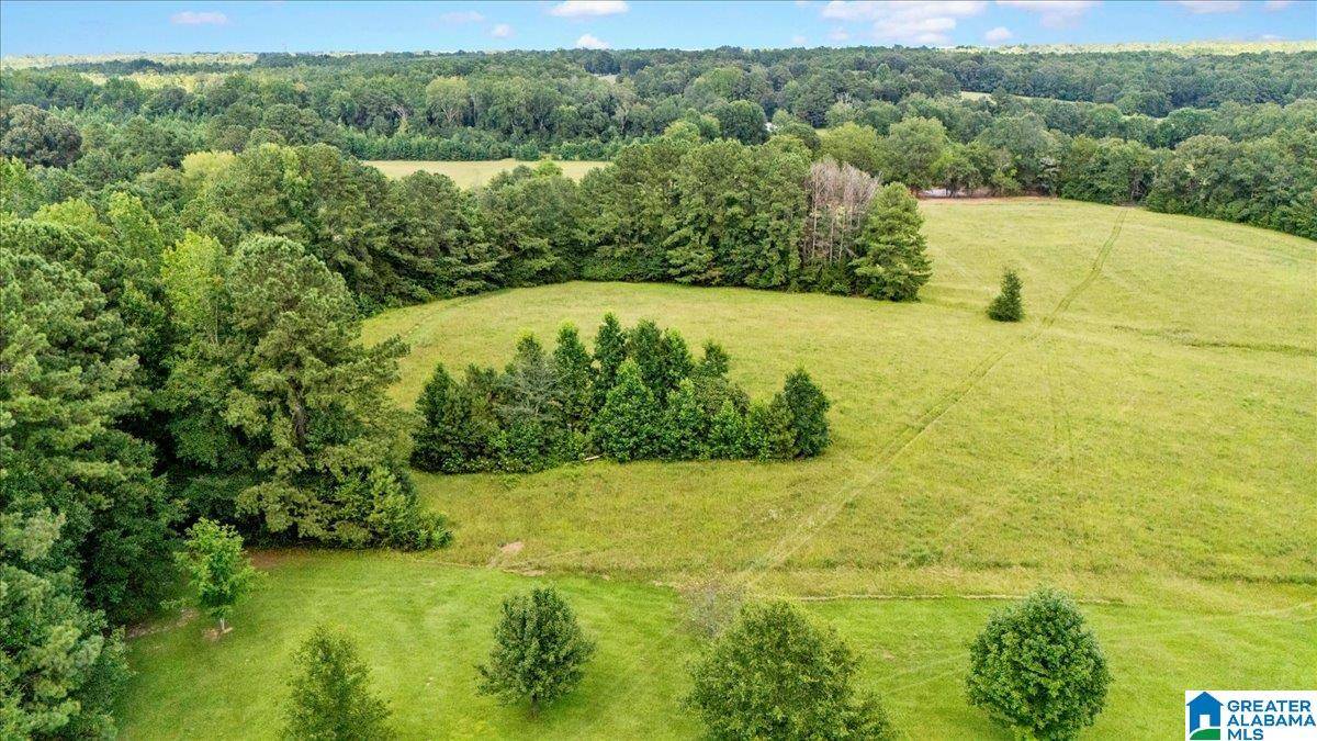 Montevallo, AL 35115,2745 COUNTY ROAD 54