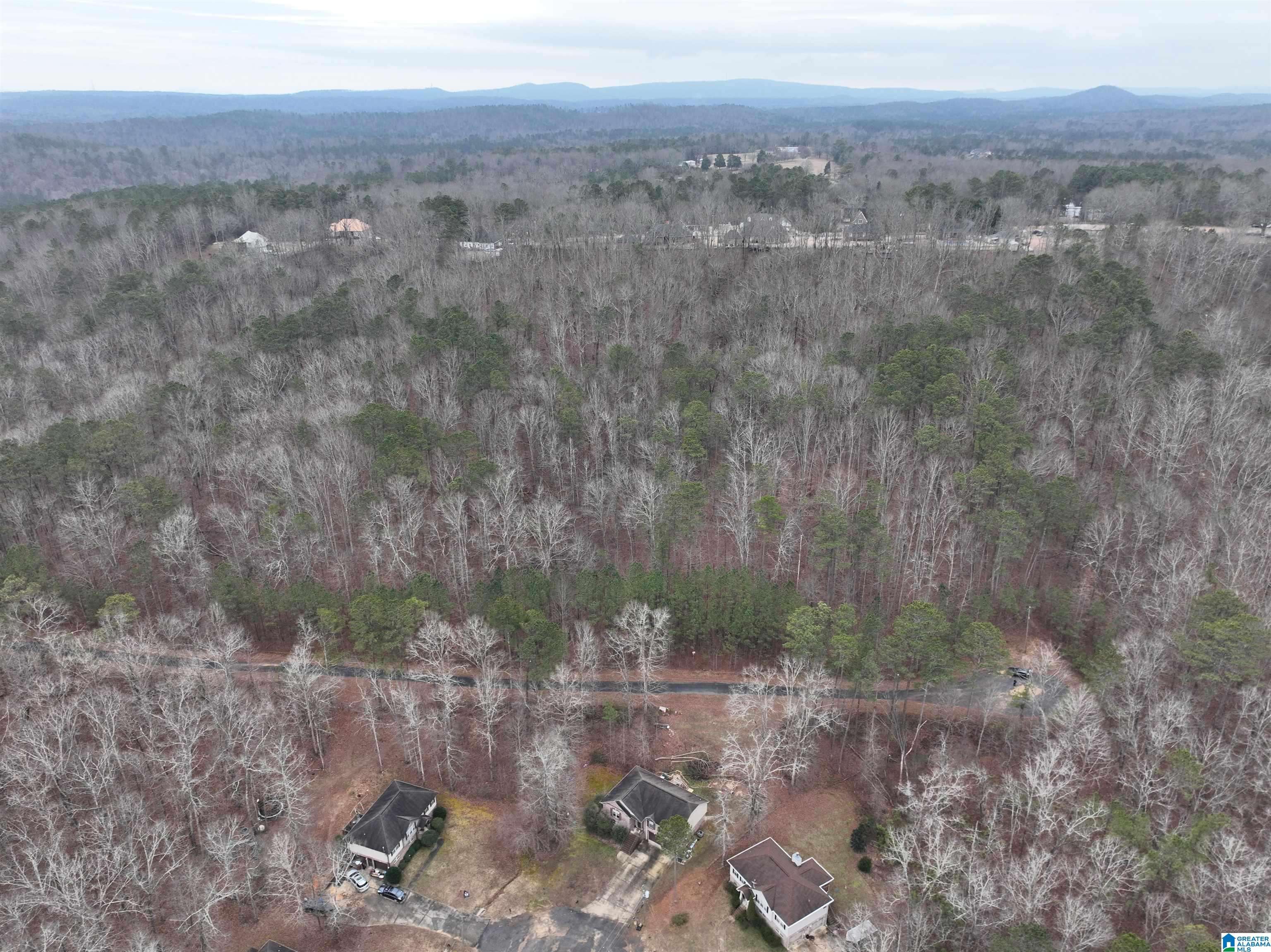 Lot 2 HENDERSON ROAD #2, Odenville, AL 35120