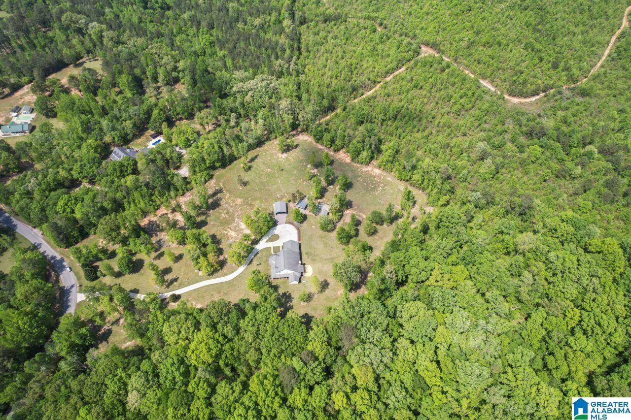 1000 BEAVER RIDGE CIRCLE, Ashville, AL 35953