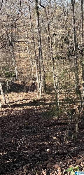 2416 BURGUNDY DRIVE #Lot 20, Birmingham, AL 35244