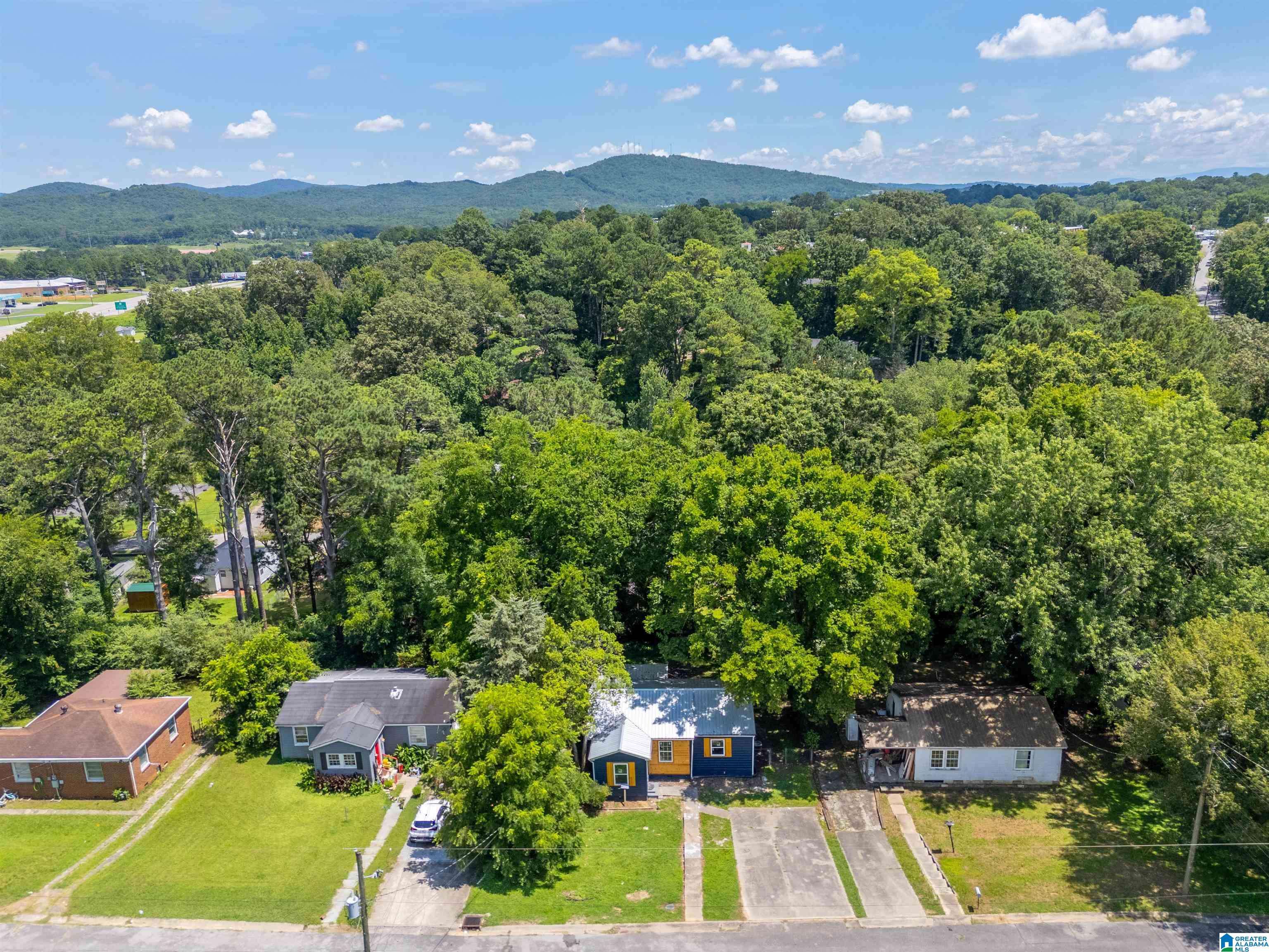 Anniston, AL 36206,428 PINE LANE