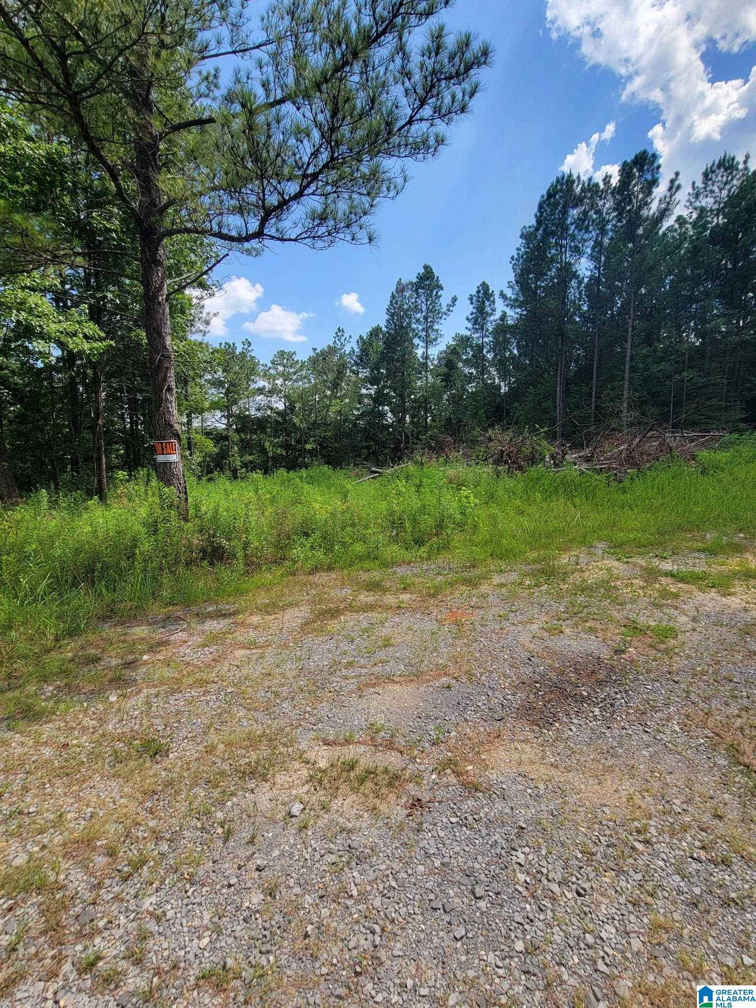 Pell City, AL 35128,499 SWEET APPLE ROAD #none