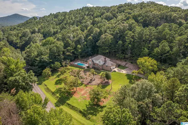 813 MOUNTAINVIEW DRIVE, Piedmont, AL 36272