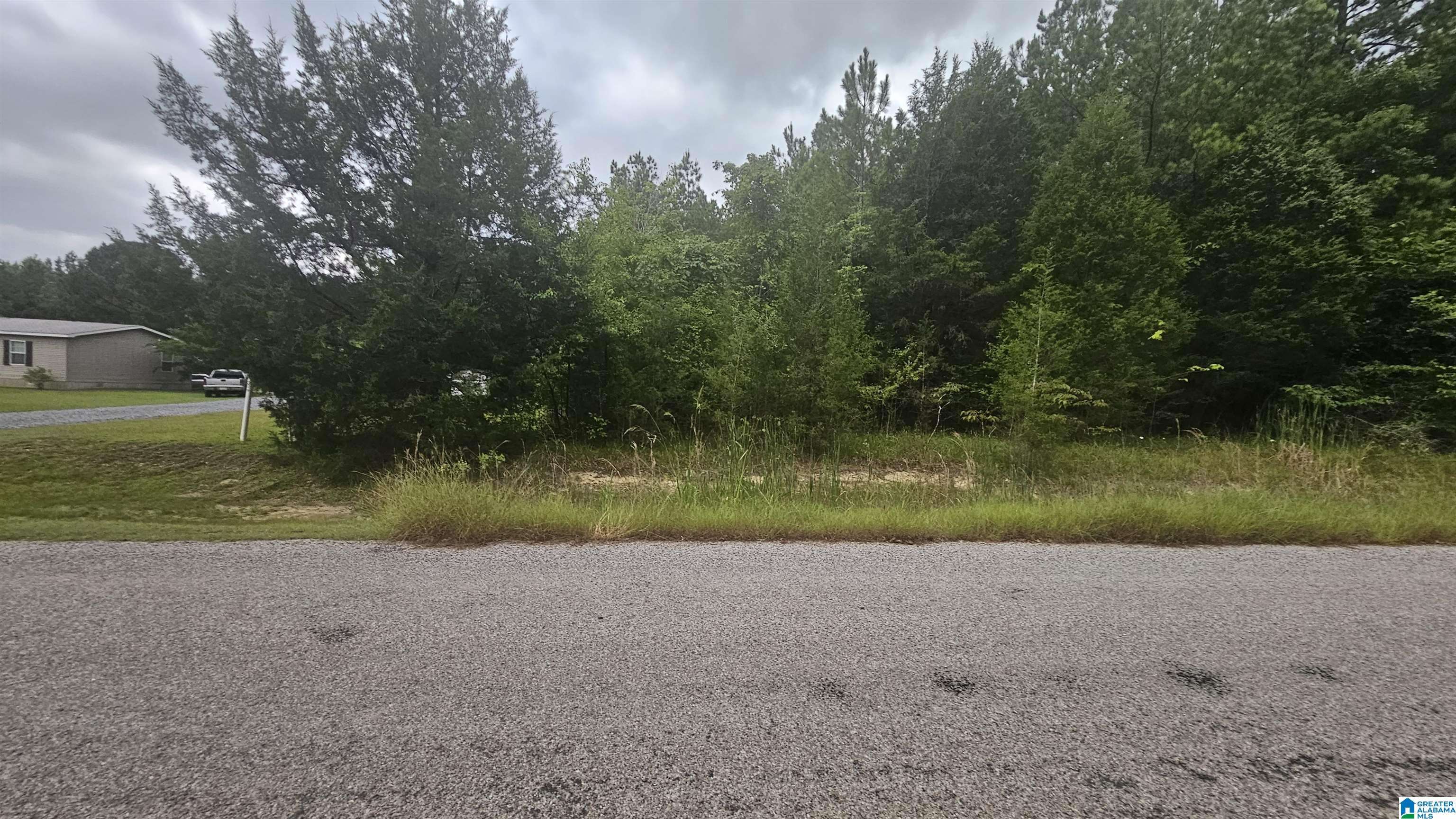 Selma, AL 36701,470 COUNTY ROAD 518 #Lot 23